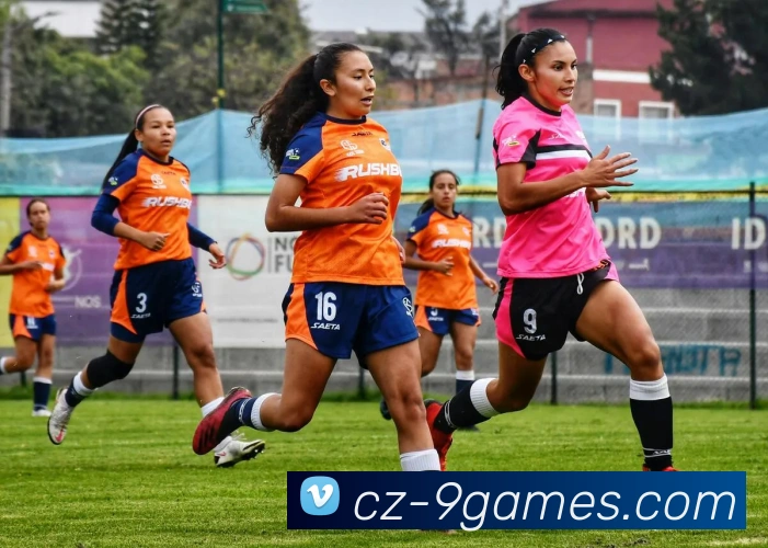 九游体育官网APP 封面图